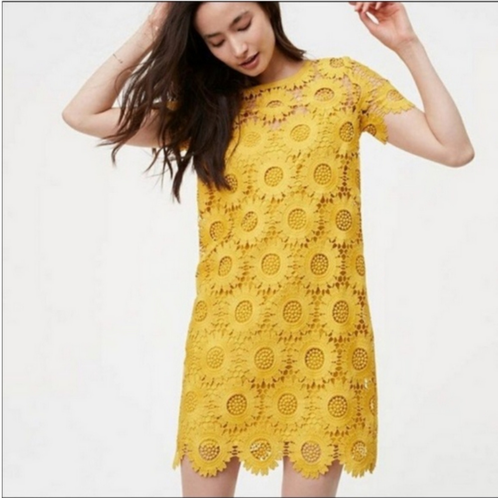 LOFT Sunflower lace crochet dress - worn once.